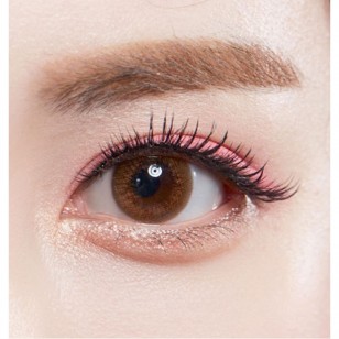 Someday Brown(月拋)